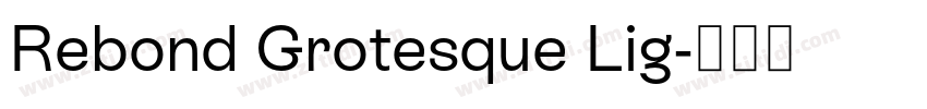Rebond Grotesque Lig字体转换 Rebond Grotesque Lig字体转换